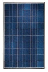 230W Yingli YL230P-29B-UB