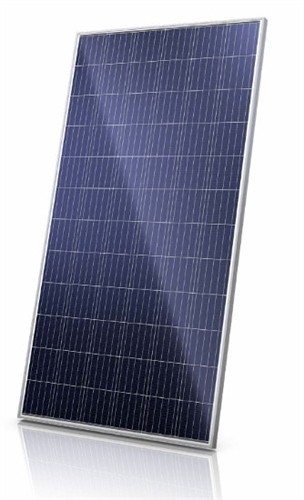 Canadian Solar 320W (Used)